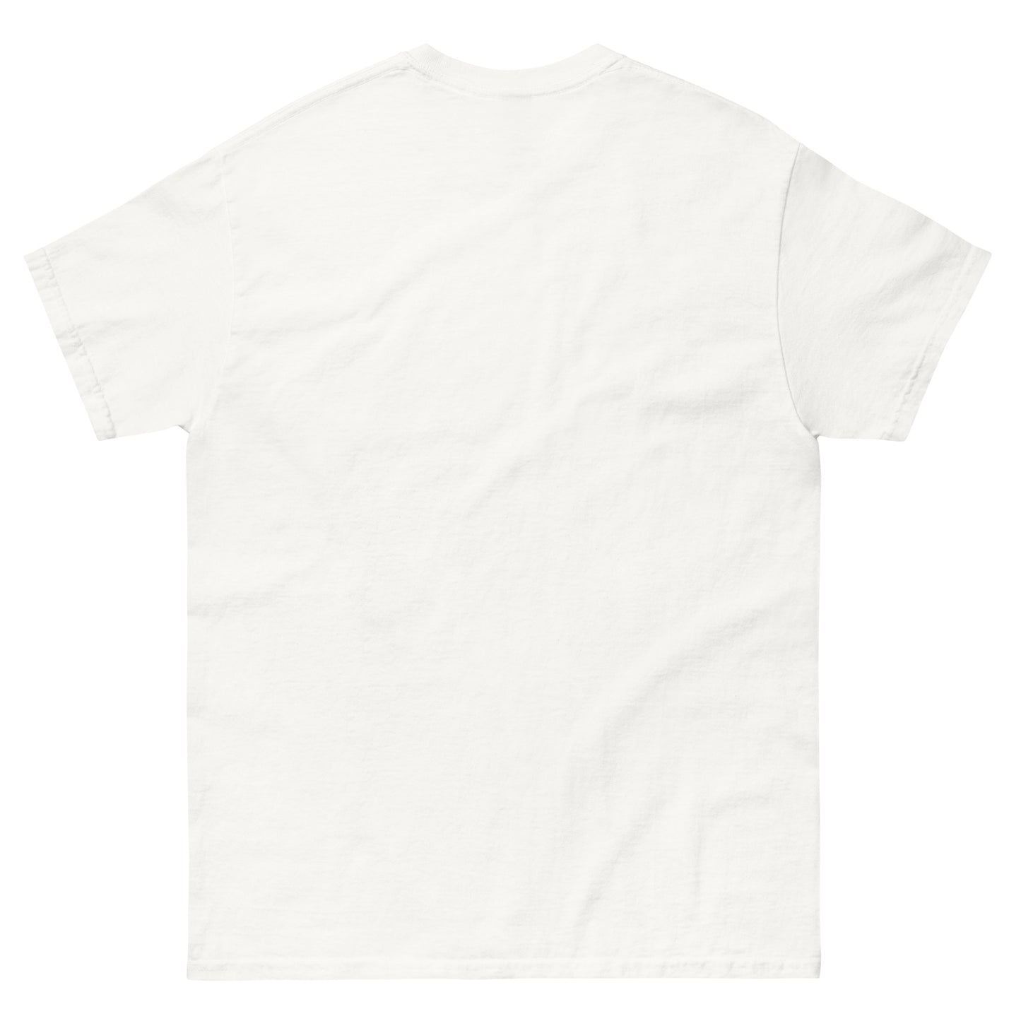 Epic Shit Unisex classic tee